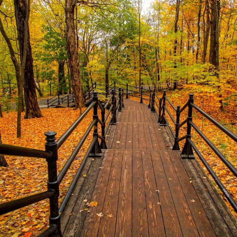 Adsız tasarım – 2024-12-17T190004.563