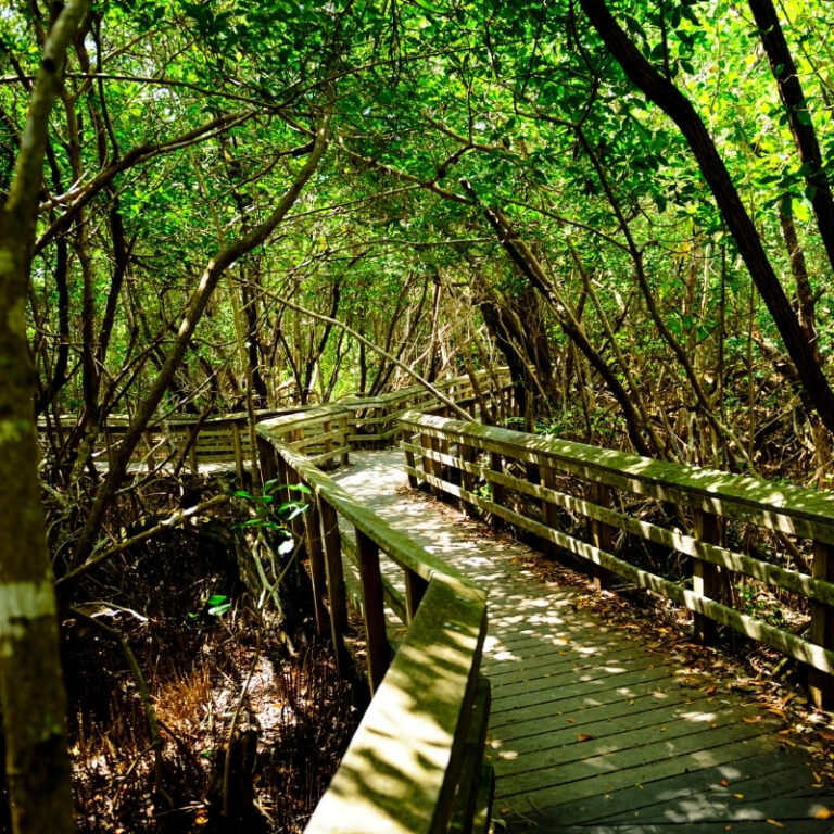 Adsız tasarım – 2024-12-17T190016.316