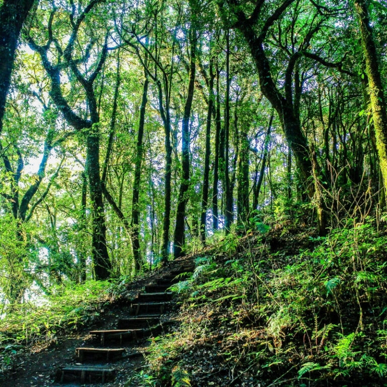 Adsız tasarım – 2024-12-17T190036.334