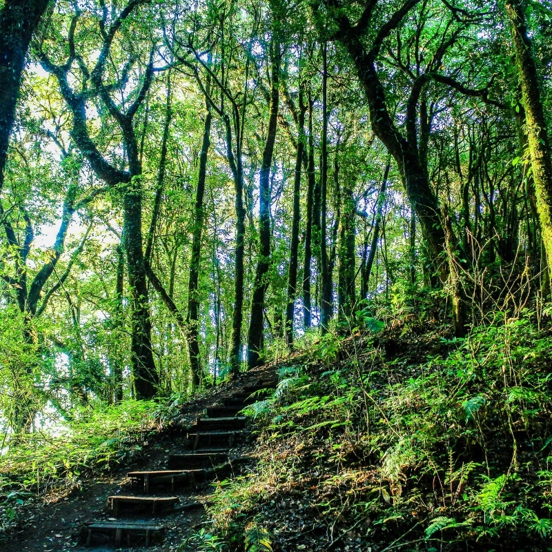 Adsız tasarım - 2024-12-17T190036.334