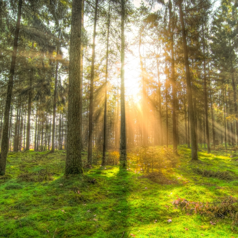 Adsız tasarım - 2024-12-17T190054.346